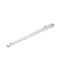 Philips Pantalla LED Estanca Pacific WT490C 48.5W 8000lm - 840 Blanco Frio | 180cm - Dali Regulable 